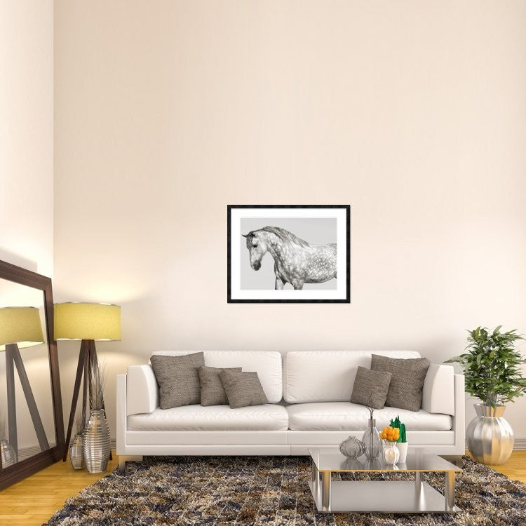 "Leia, Andalusian Pony" Framed Digital Print by Pangea Images, 40x32"