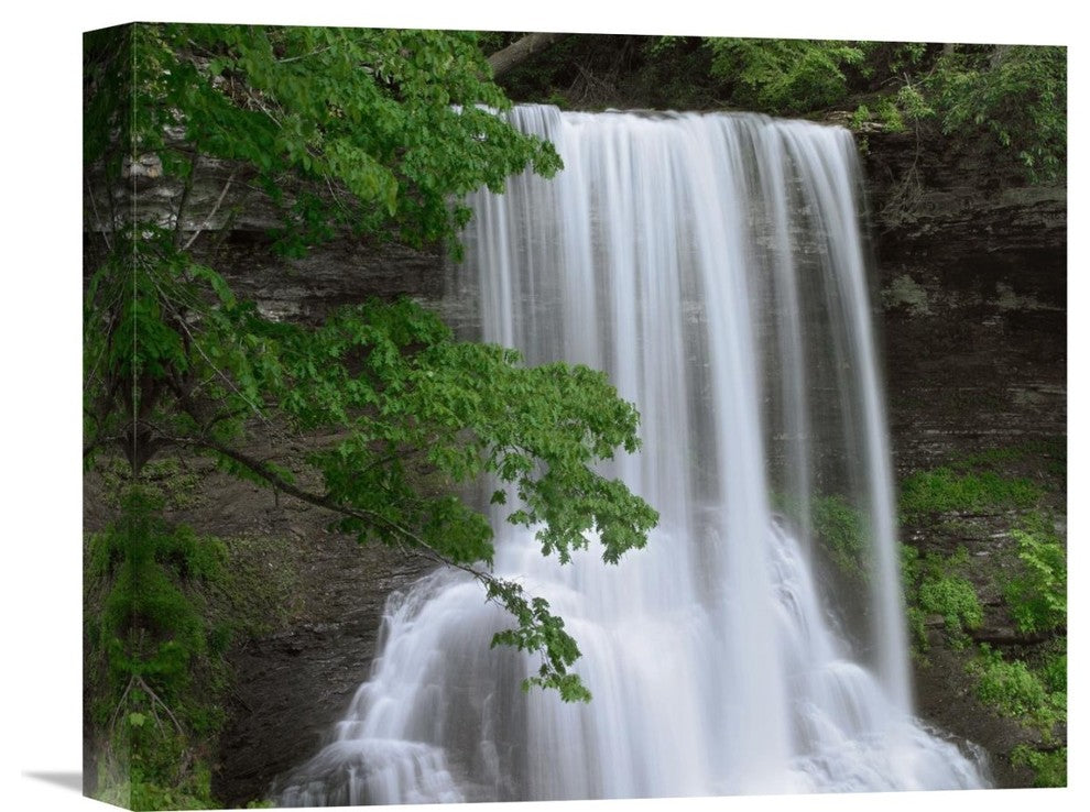 "Cascading Waterfall In Jefferson National Forest, Virginia" Artwork