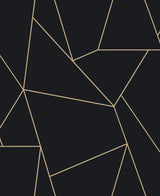 Black & Gold Nazca Wallpaper