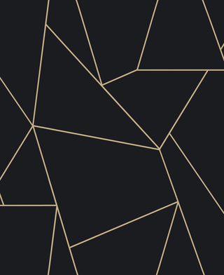 Black & Gold Nazca Wallpaper