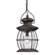 Village Lantern 1-Light Outdoor Hanging Lantern