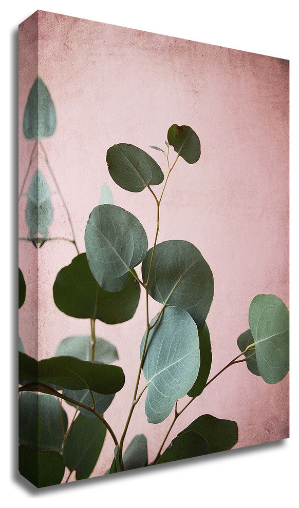 Sage Eucalyptus No. 2 by Lupen Grainne, Print on Canvas, 24" x 30"