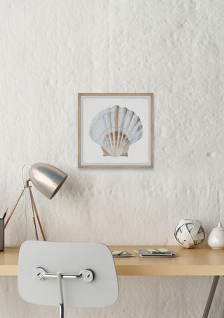 "Pretty White Shell" Framed Painting Print, 18"x18"