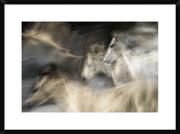 "In Motion" Framed Digital Print by Milan Malovrh, 32x24"