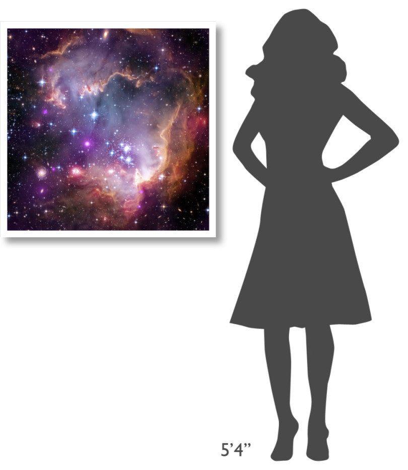 "Under the Wing of the Small Magellanic Cloud" Paper Print by NASA, 32"x32"