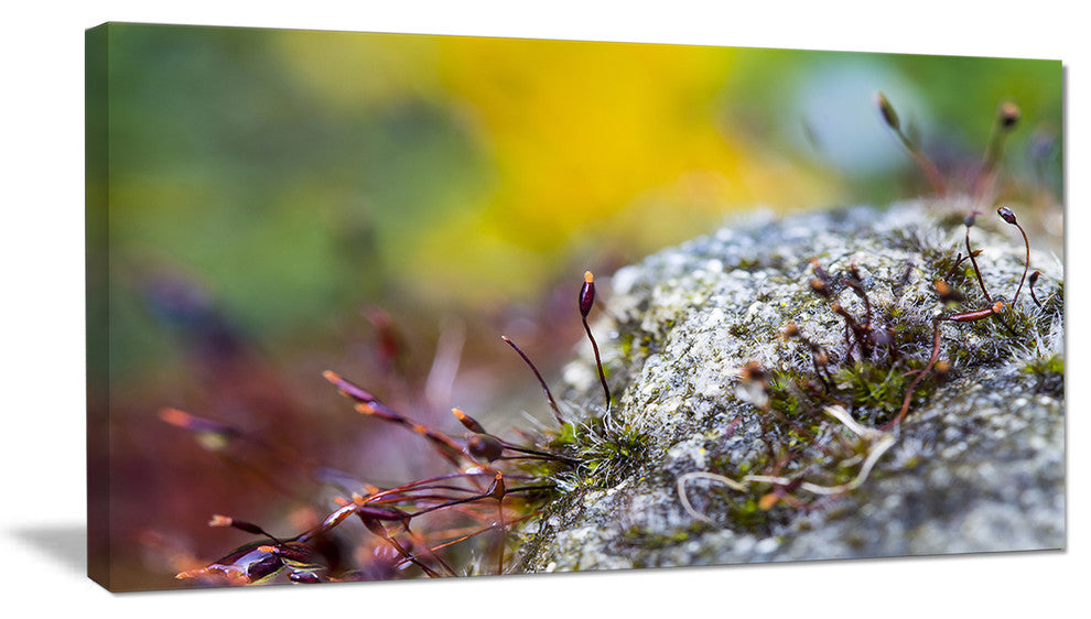 "Abstract Composition of Moss Flowers" Landscape Wall Art, 32"x16"
