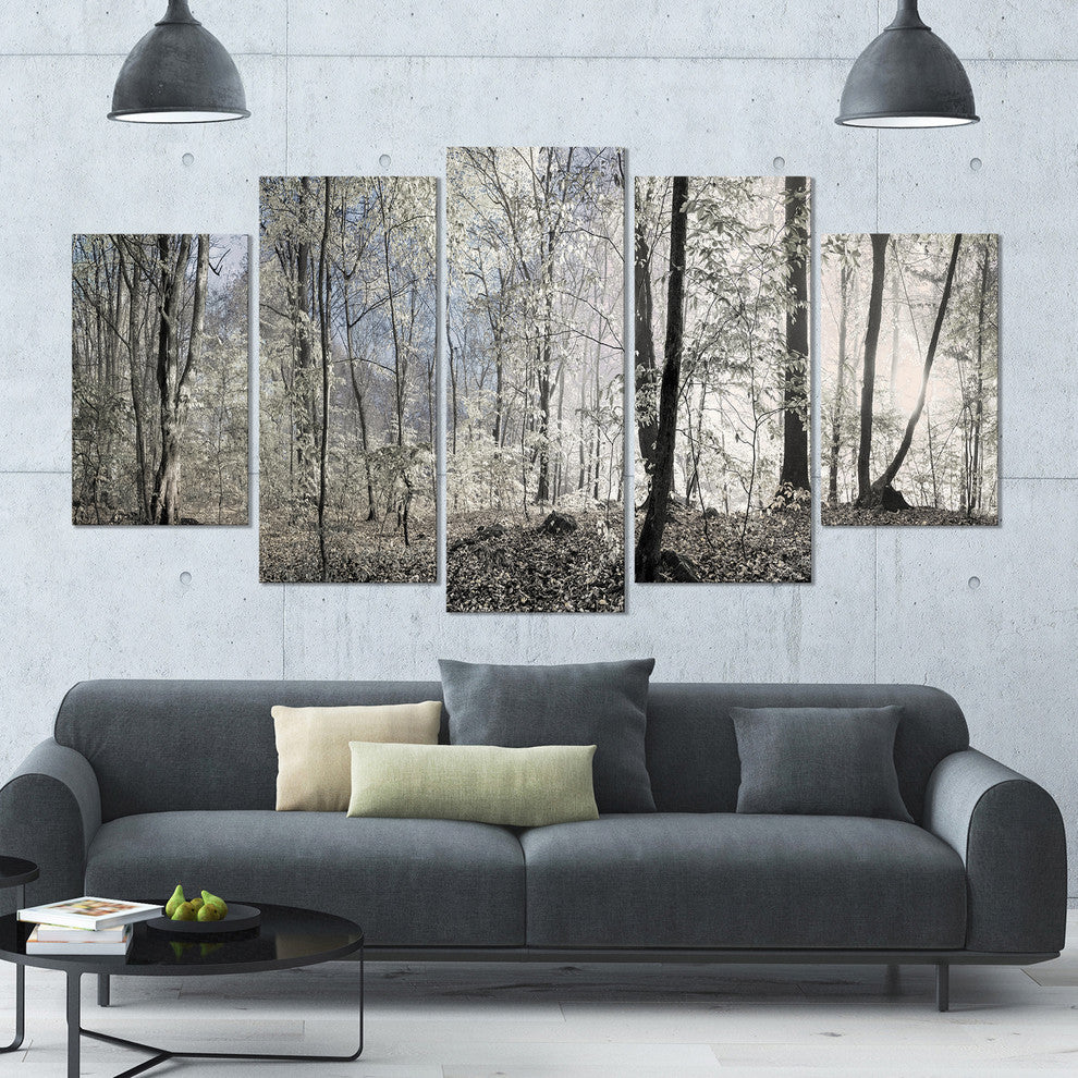Dark Morning in Forest Panorama, Landscape Canvas Art Print, 60"x32", 5 Panels