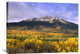 "East Beckwith Mountain And Trees, Gunnison National Forest, Colorado" Artwork