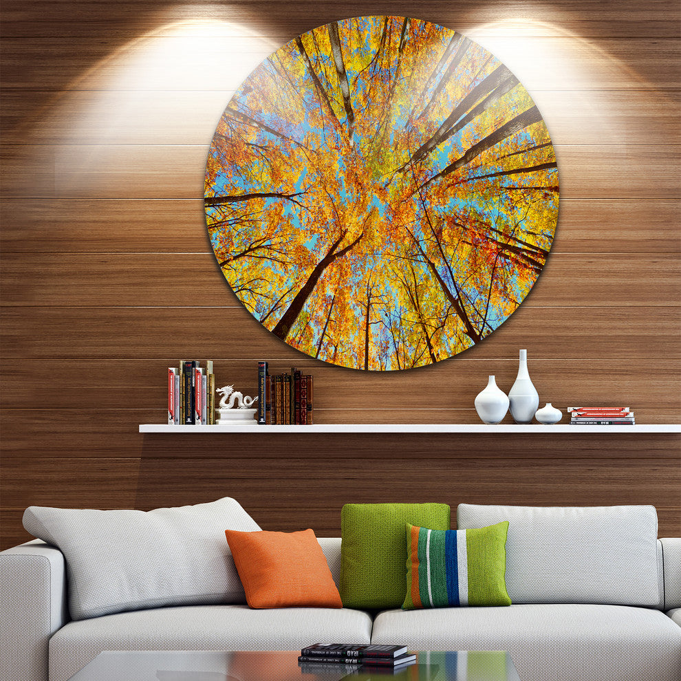 Tree Tops In Autumn Forest, Trees Photo Disc Metal Wall Art, 11"