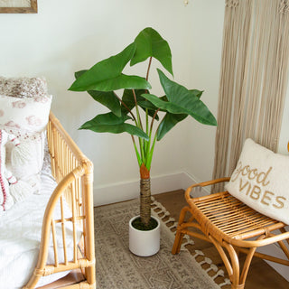 Artificial Arrowhead Philodendron, White Decorative Planter, 4.5ft.