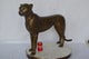 Baby Cheetah, Cub, Bronze Statue - Size: 30"L x 10"W x 25"H.