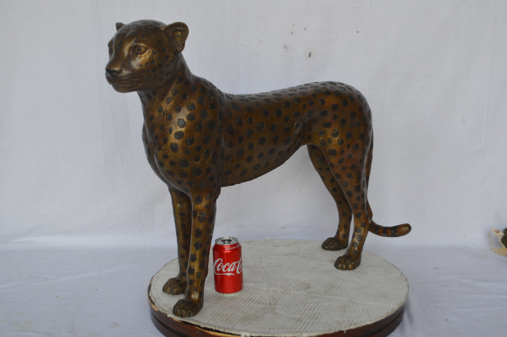 Baby Cheetah, Cub, Bronze Statue - Size: 30"L x 10"W x 25"H.