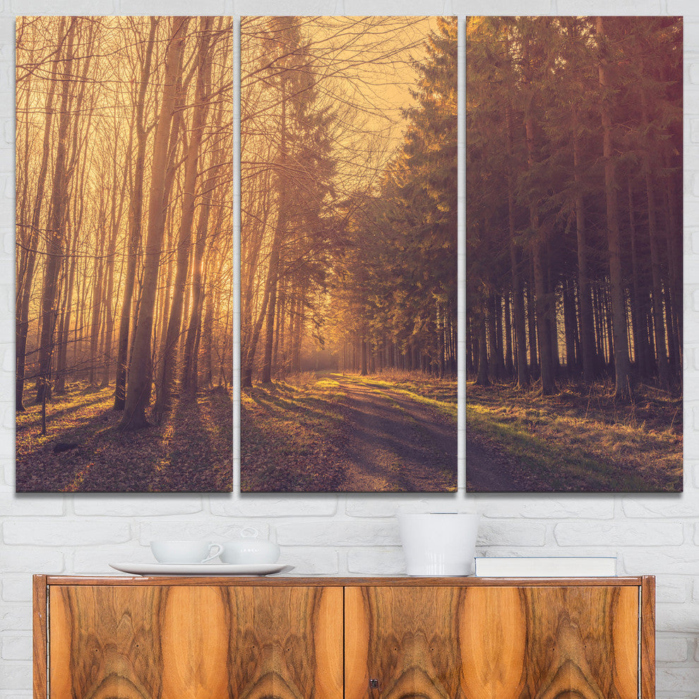 "Pine Tree Forest by Road" Photo Canvas Art Print, 3 Panels, 36"x28"