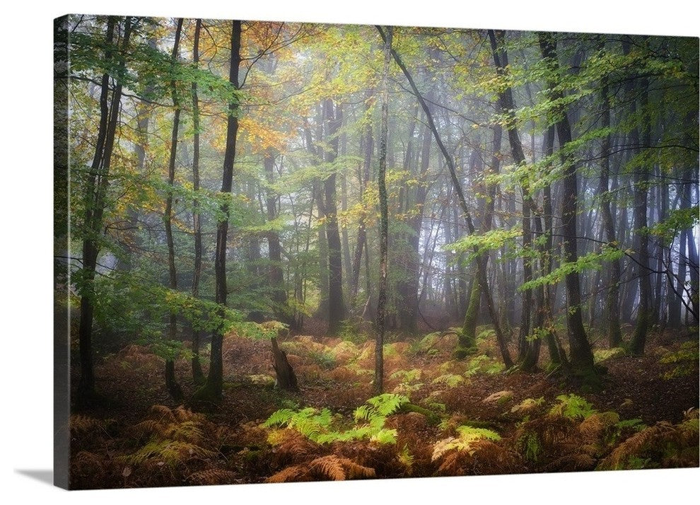"Colored Rain in Deep Forest" Wrapped Canvas Art Print, 24"x16"x1.5"