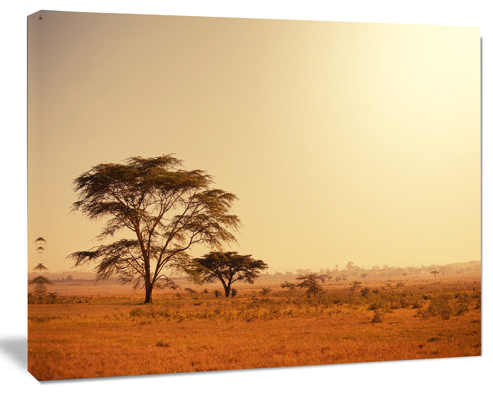 Trees in Large African Landscape, African Landscape Canvas Art Print, 40"x30"