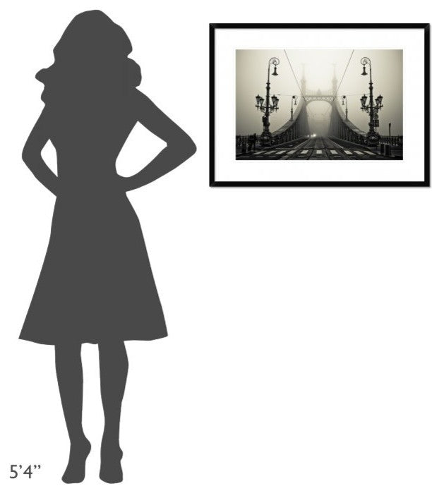 "The Bridge" Framed Digital Print by Arminmarten, 32x24"