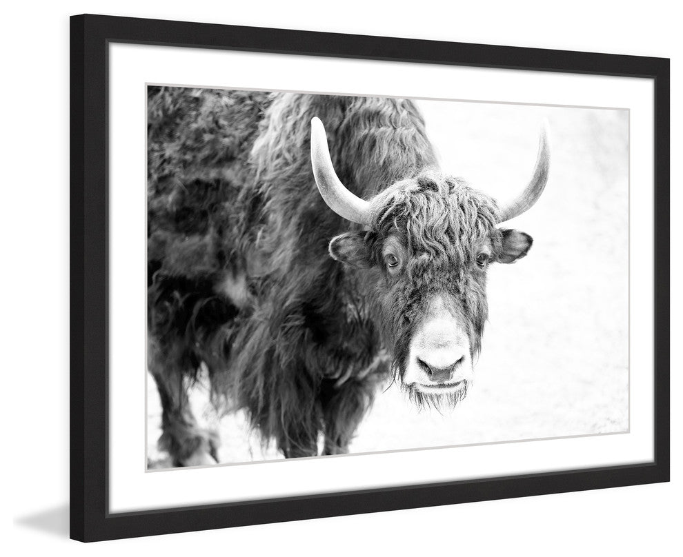 Marmont Hill, "Buffalo Forward" Framed Painting Print, 24x16
