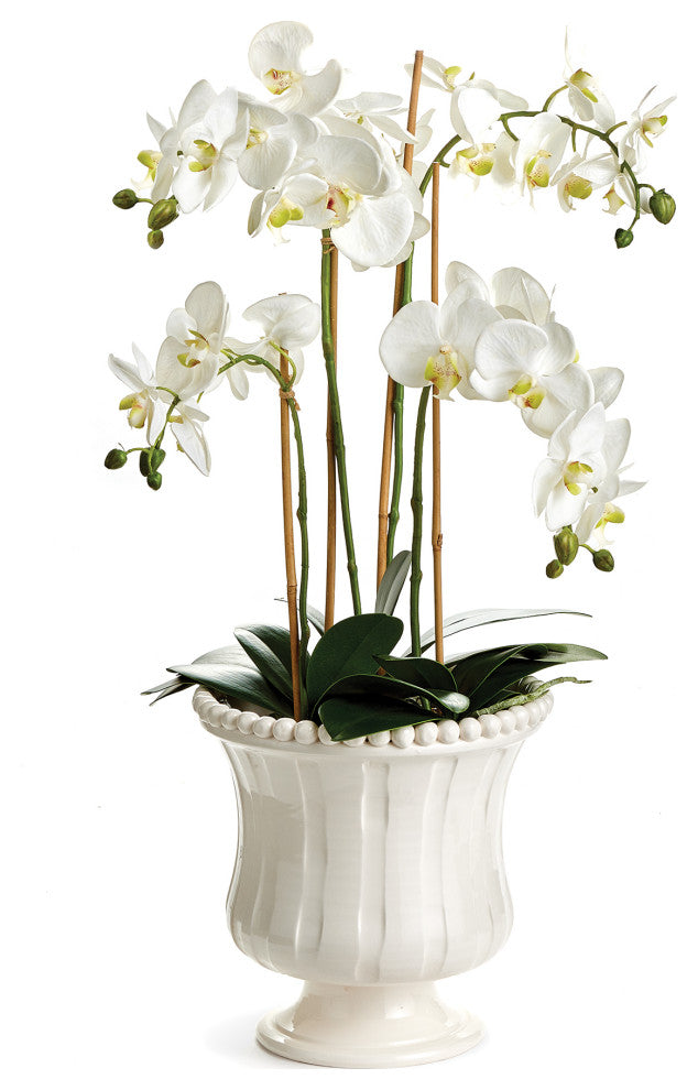 Coletta Petite Flared Vase
