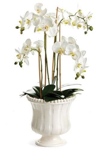 Coletta Petite Flared Vase