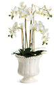 Coletta Petite Flared Vase