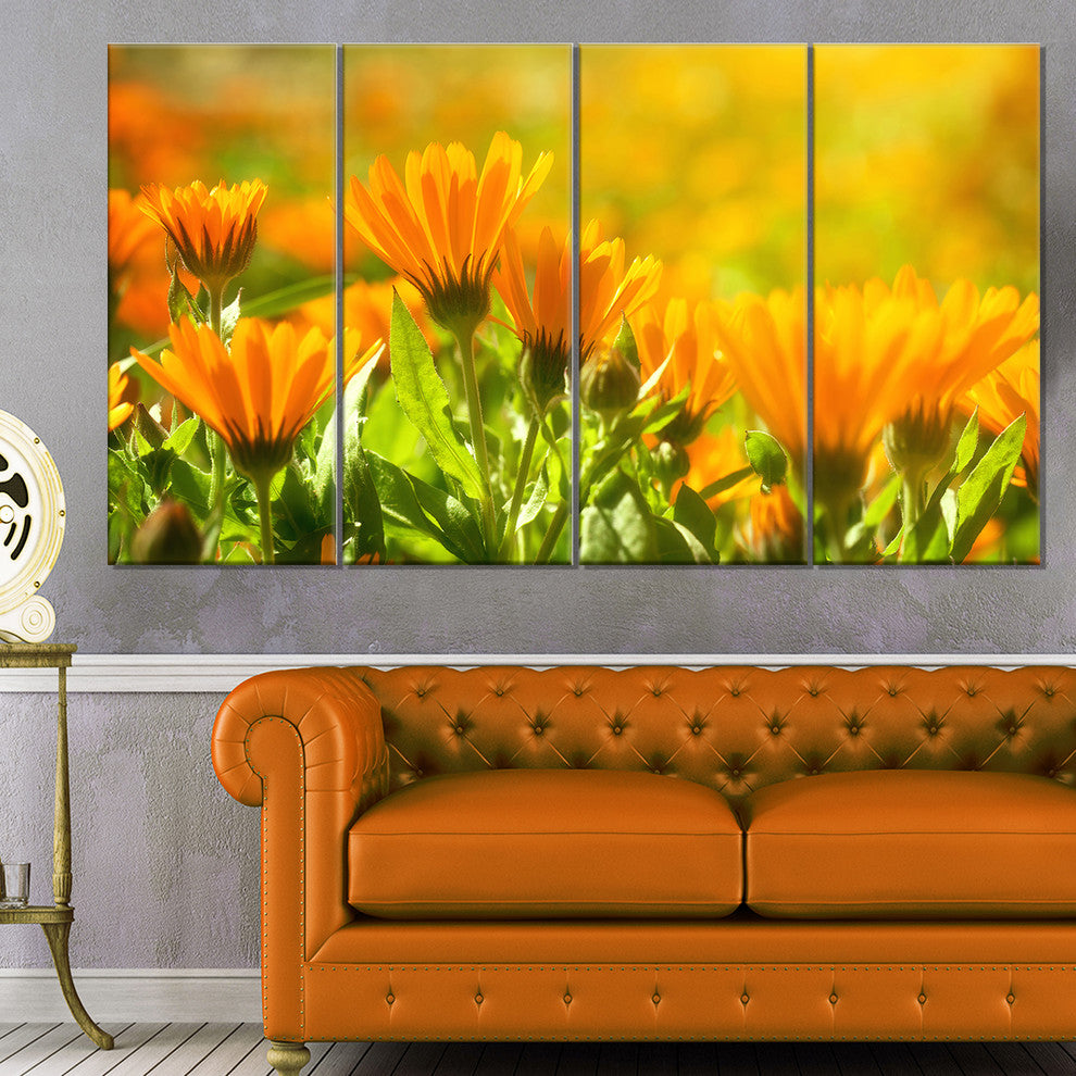 Orange Marigold Flowers in Sunlight, Floral Canvas Art Print, 48"x28", 4 Panels