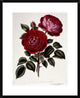 "H Perpetual, Standard of Marengo" Framed Digital Print by Henry Curtis, 24"x30"
