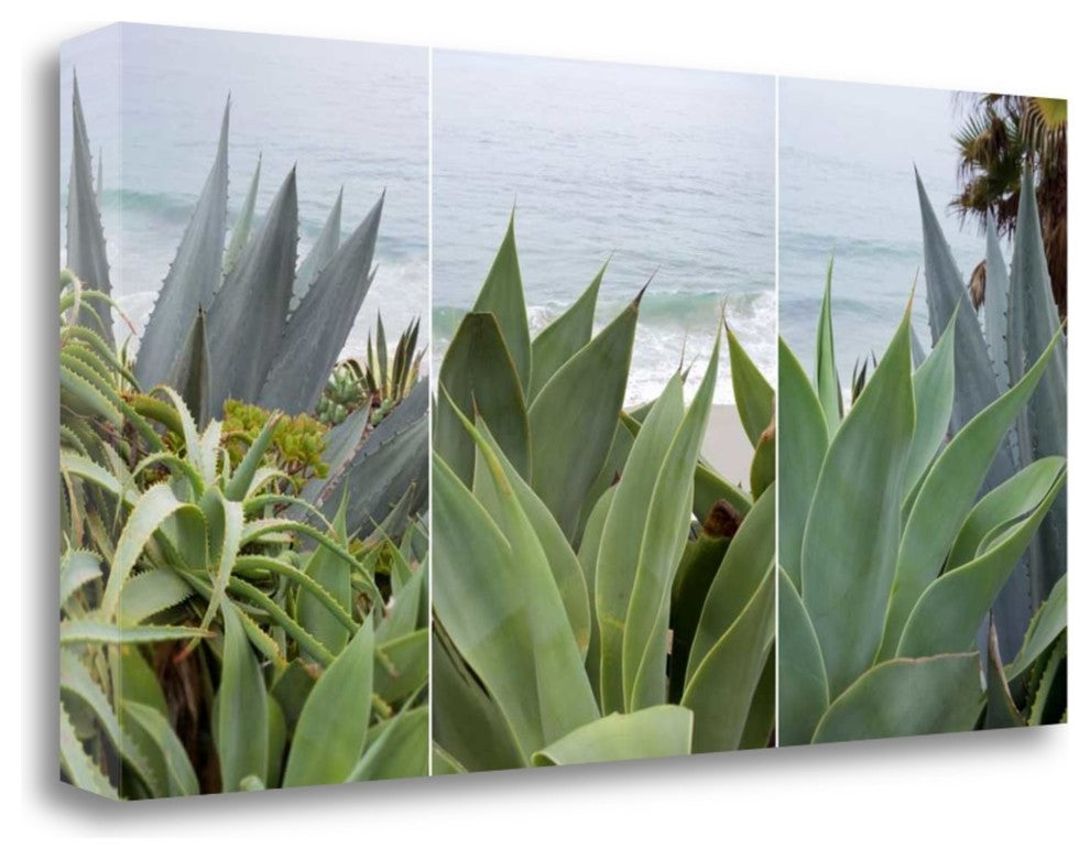 "Laguna Coast - 2" By Alan Blaustein, Giclee Print on Gallery Wrap Canvas