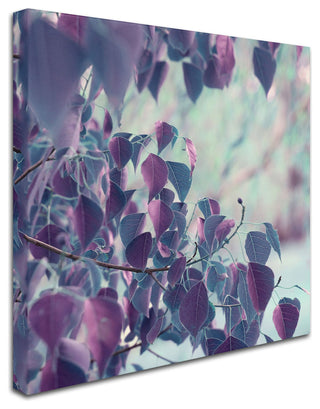 'Summer Thoughts' Canvas Art by Beata Czyzowska Young