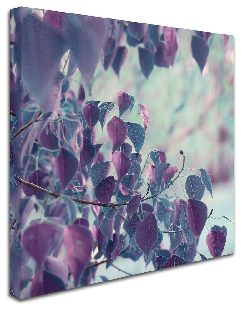'Summer Thoughts' Canvas Art by Beata Czyzowska Young