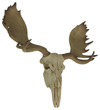 Large Lifelike Bull Moose Skull Hanging Wildlife Decor Statue