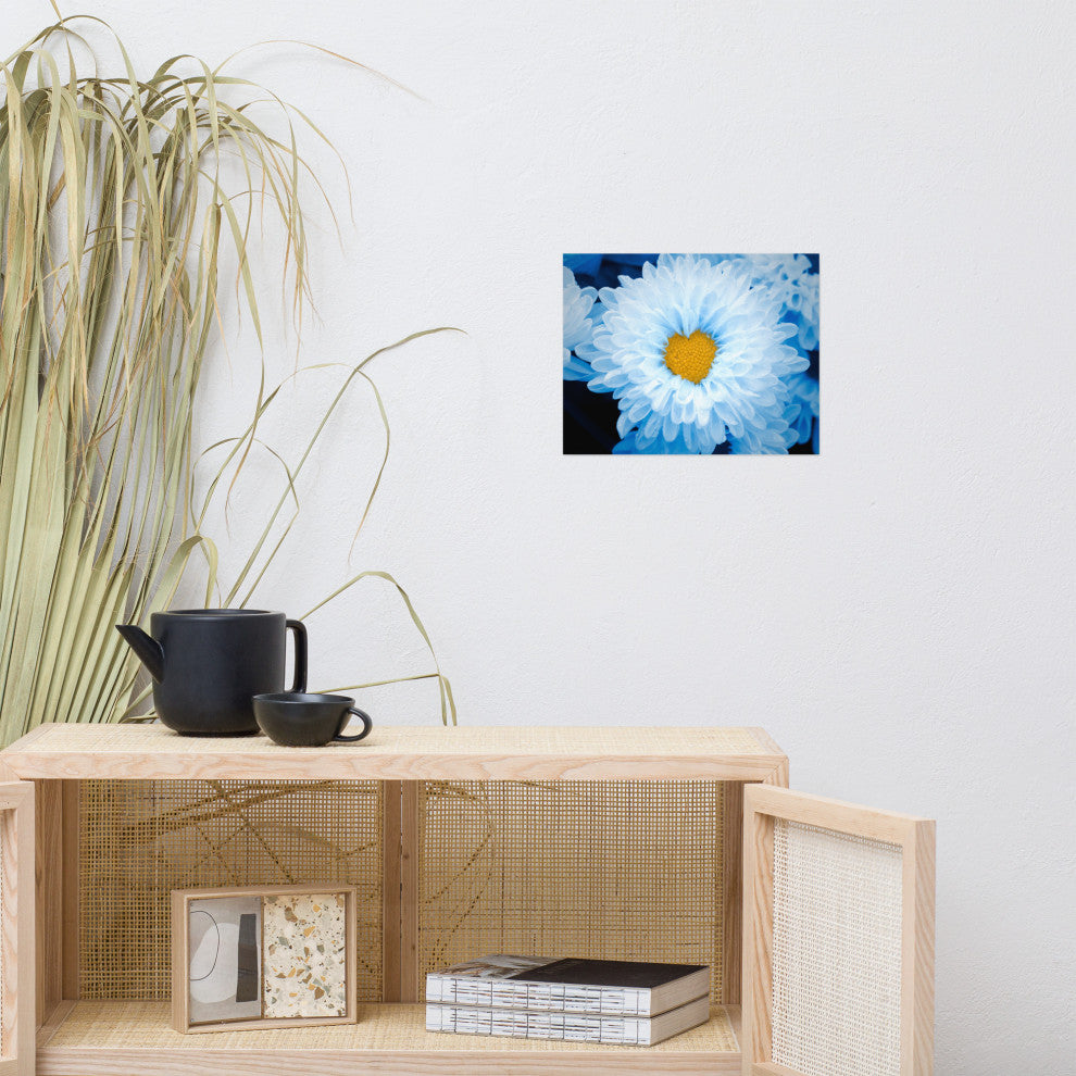 Blue Tinted Chrysanthemums Floral Nature Photo Loose Wall Art Print, 11" X 14"