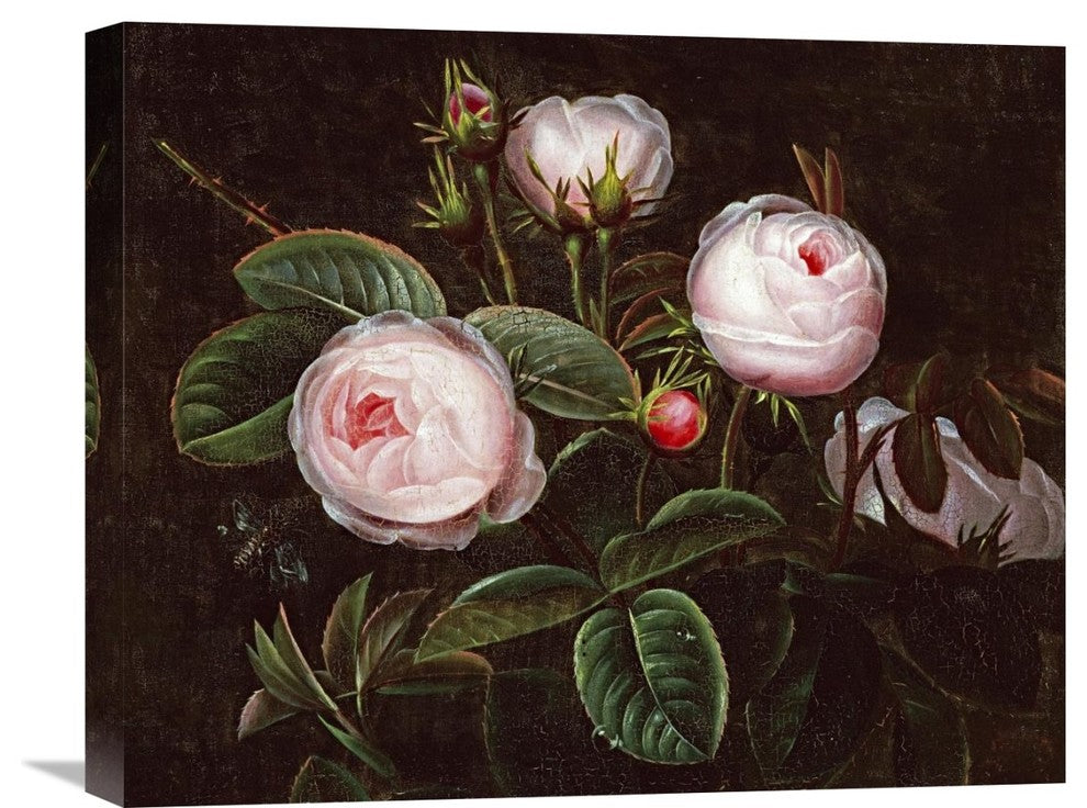"Pink Roses" Stretched Canvas Giclee by Johan Laurents Jensen, 22"x18"