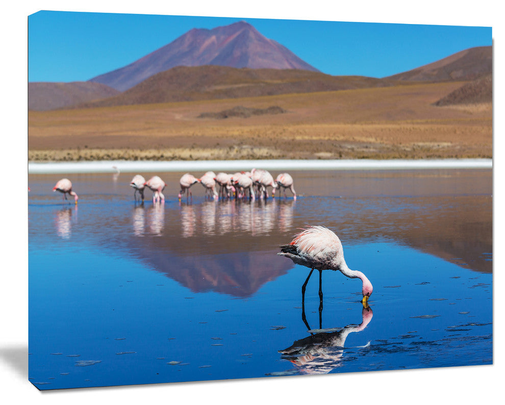 Beautiful Flamingos in Bolivia, African Landscape Canvas Art Print, 60"x28"