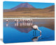 Beautiful Flamingos in Bolivia, African Landscape Canvas Art Print, 60"x28"