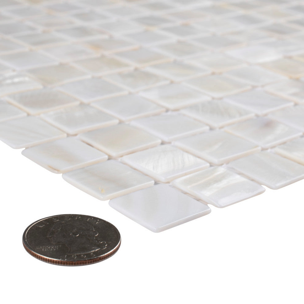 Conchella Square White Natural Shell Wall Tile