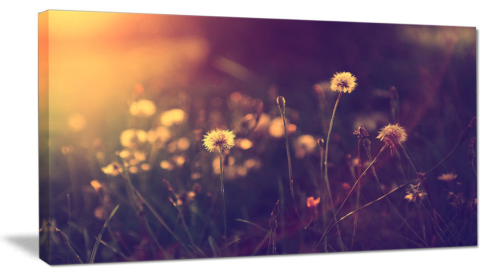 Vintage Dandelion Meadow Photo, Large Floral Canvas Art Print, 32"x16"