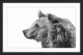 "Calm Observance" Framed Painting Print, 36x24