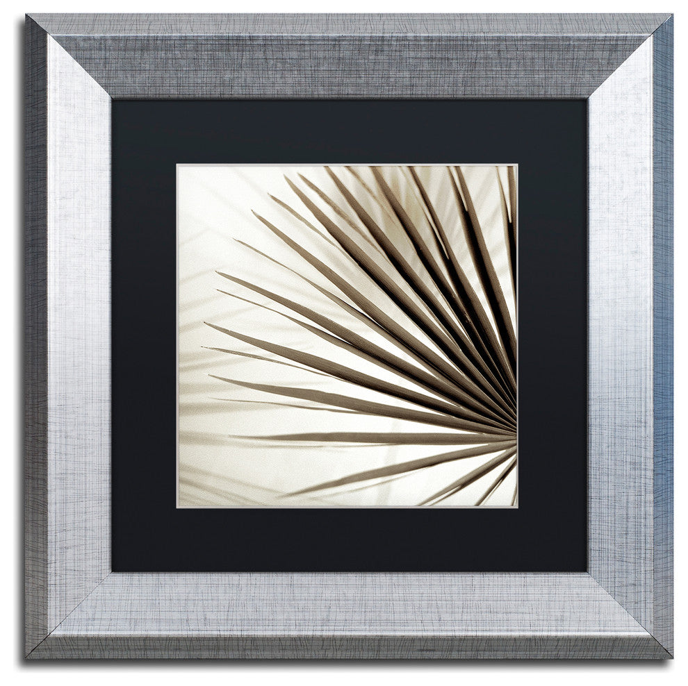 Alan Blaustein ''Florison 66'' Art, Silver Frame, Black Mat, 11x11