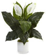 Spathiphyllum Artificial Flowering Peace Lily, Glossy Glass Planter