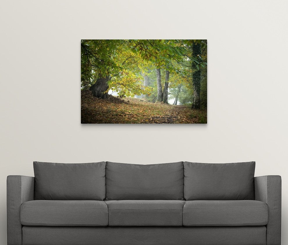 "Morning Walk" Wrapped Canvas Art Print, 48"x32"x1.5"