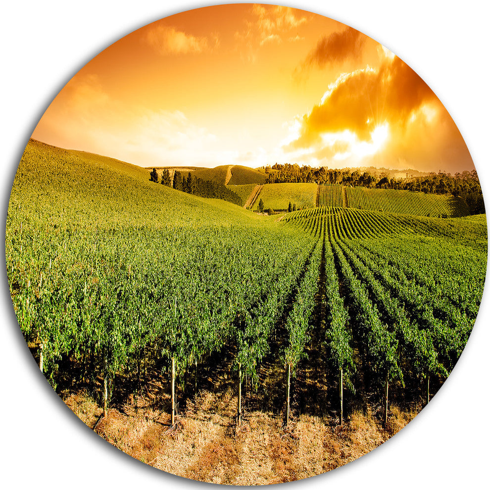 Sunset Vineyard Panorama, Round Metal Wall Art Landscape, 36"