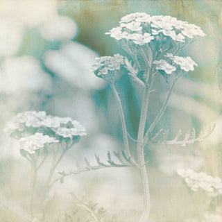 "Wait For Me" Painting Print on Canvas by Jorgensen