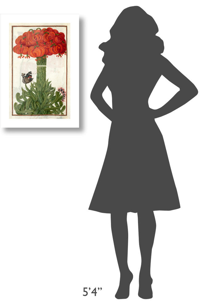 "Orange Lilies" Digital Paper Print by 17th century French, 16"x24"