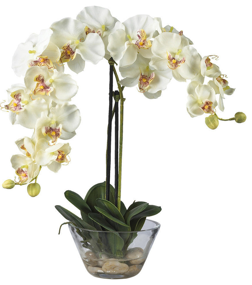 Phalaenopsis With Glass Vase Silk Flower Arrangement