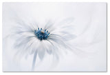 Jacky Parker 'Serenity' Canvas Art, 24x16