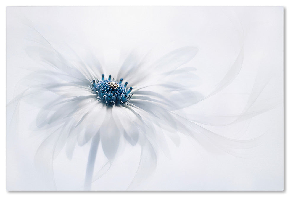 Jacky Parker 'Serenity' Canvas Art, 24x16