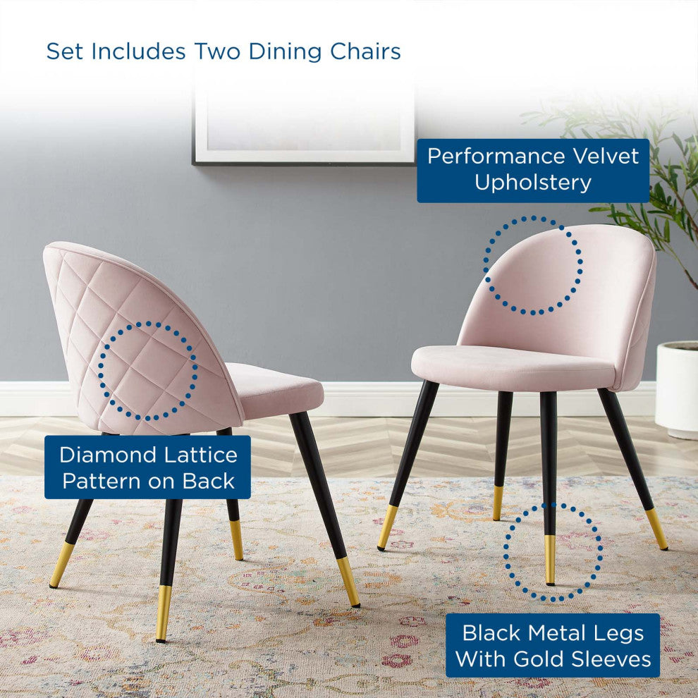 Modway Cordial Performance Velvet dining chairs Set of 2