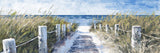 "Sandy Beach Pathway" Painting Print on Wrapped Canvas, 15x5