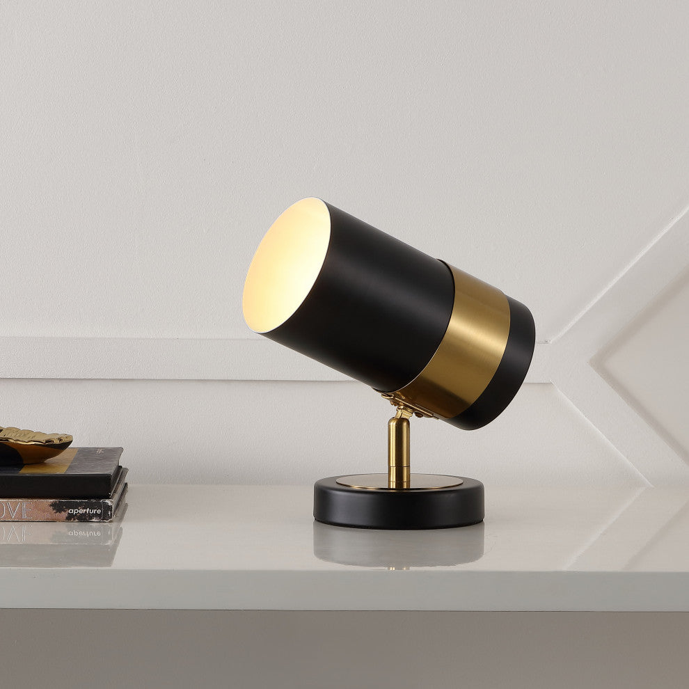 Astra Modern Industrial Iron Adjustable Indoor LED Floor Spotlight