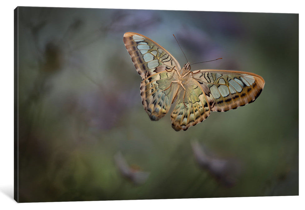 "Landing II" by Heather Bonadio, 40x26x1.5